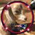 Julie Kae's profile image
