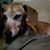 Rhoda Mann's profile image