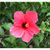 Jennifer Thomas Anderson's profile image