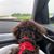 Mary Beth Magyar's profile image