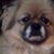 Tamera Brewster's profile image