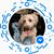 Tim Pastor's profile image