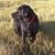 Dave Decker's profile image