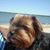 Barbara McLarney Anderson's profile image