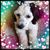 Lisa Klein's profile image