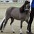 Carlynne Allbee's profile image