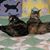 Terri Alice's profile image