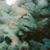 Stasia Renaud's profile image
