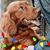Amy Catherine McCusker's profile image