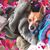 Alice Hatcher's profile image