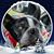 Craig Garwood's profile image