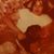 Jessica Mcmoy Caskey's profile image