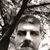Todd Pinky Plunkett's profile image