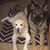 Tami Cluck Johnson's profile image