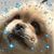 Rita M Quante's profile image