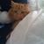 Weby MJ's profile image