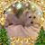 Jerry Lallo's profile image