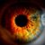 Gopesh Dasa's profile image