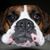 Betty Wood LaFargue's profile image