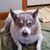 Mary Miller Finch's profile image