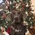 Brooke Bailey's profile image