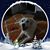 Maggie L'Buon's profile image