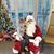 Wendy Fulk Roberts's profile image