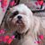 Karen Morrison's profile image