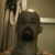 Robert Siqueido's profile image