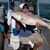 Micah J Gussow's profile image