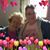 Renee Schoenbeck Schweer's profile image
