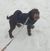 Daniele Alleori's profile image