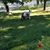 Sheryl Senske Lohmiller's profile image