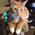 Kathy Bergeron's profile image