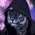 Wayne Falagan's profile image