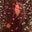 Eva Grow's profile image