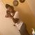 ArTaysha Mariee's profile image