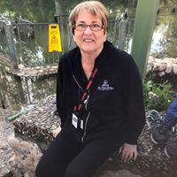 Deborah Williams's profile image