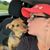 Lacey Davis's profile image