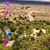 Glinda Begay's profile image
