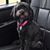 Claudia Kiesel's profile image