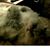 Michele Olinger's profile image