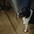Donald L Brumley's profile image