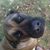 Charlee Ray's profile image