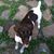Bonita Steele's profile image