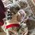 Stephanie Amedeo Marquez's profile image