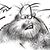 George Albert Chadick's profile image
