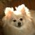 Vades Brinkley's profile image