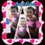 Yoli Rodriquez's profile image