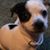 Cherie Wollman Beal's profile image